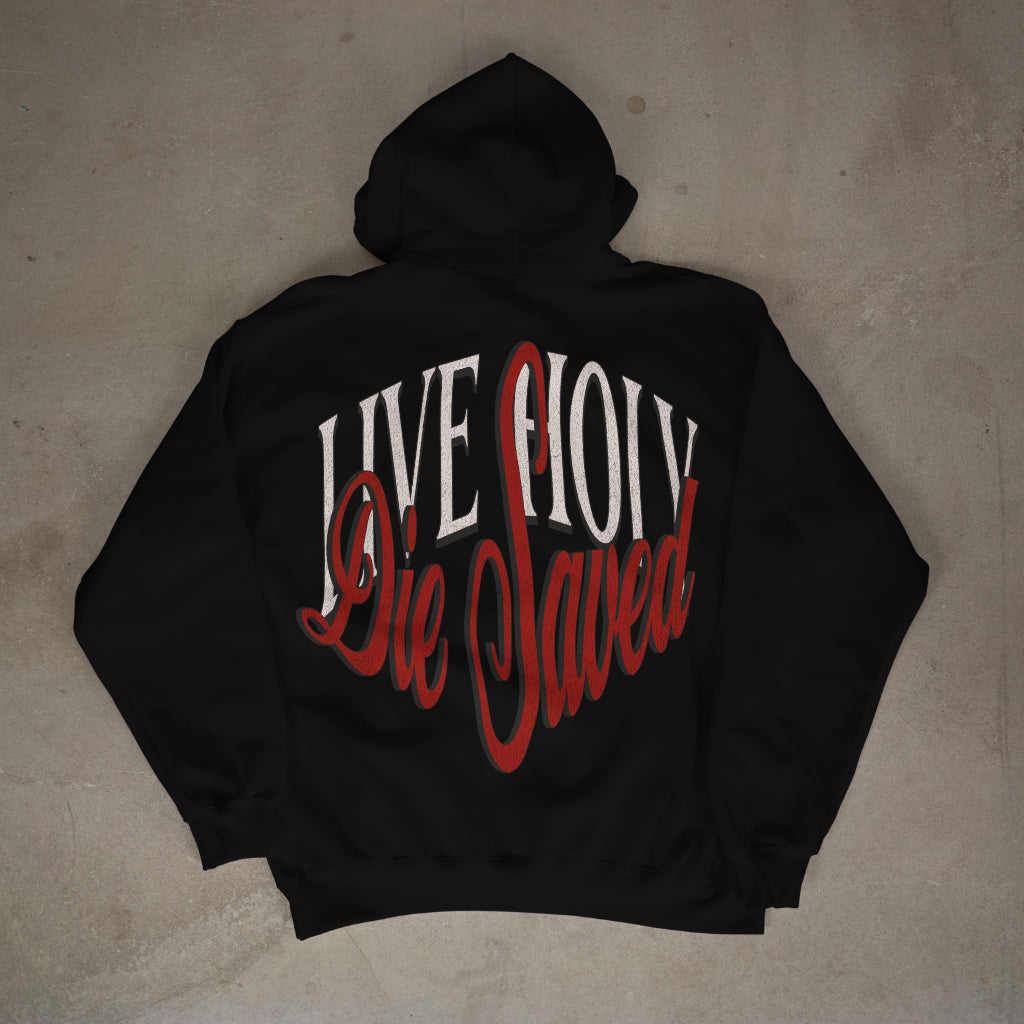 "Live Holy Die Saved" Premium Oversized Hoodie