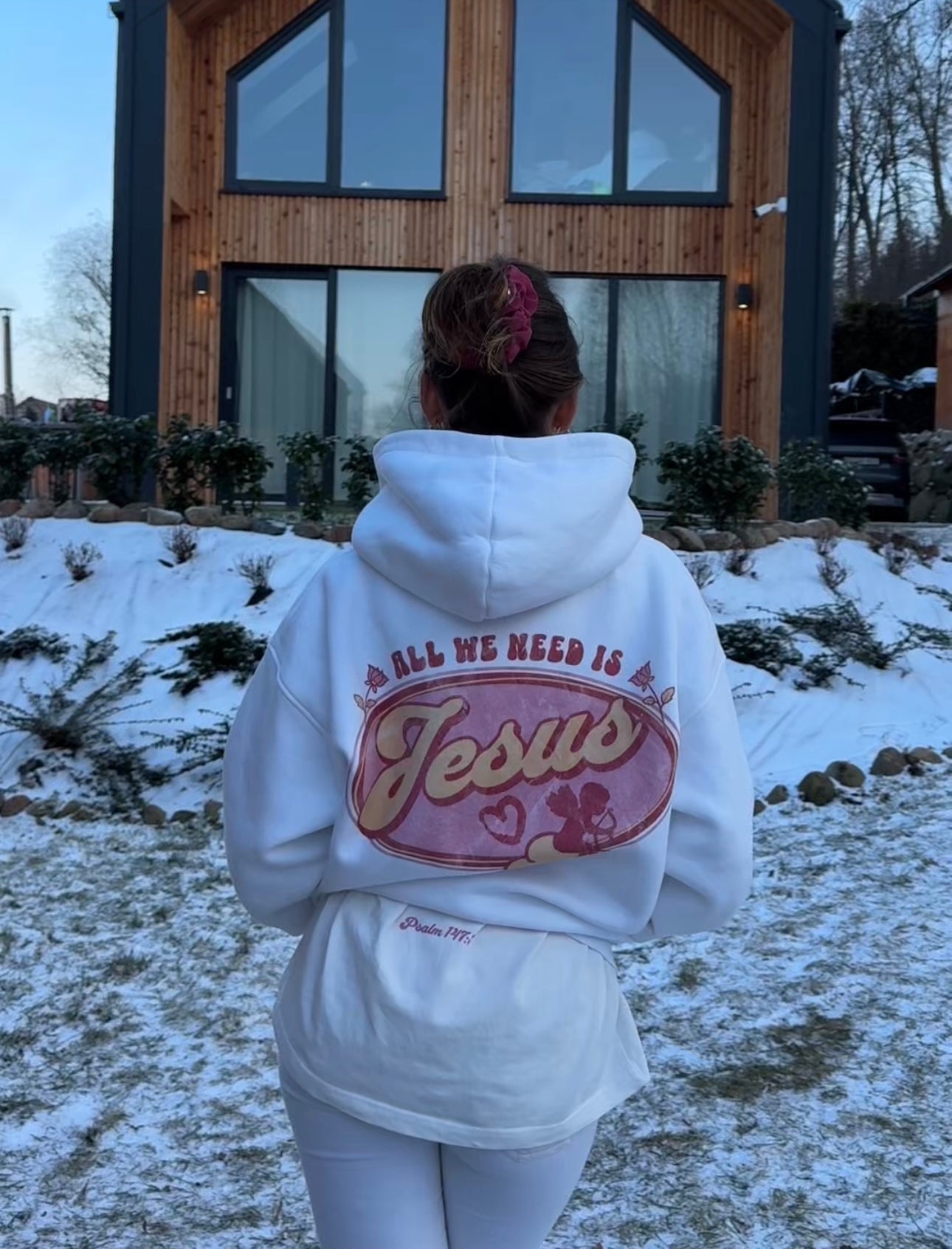 "All we need is Jesus" Premium Oversized Hoodie